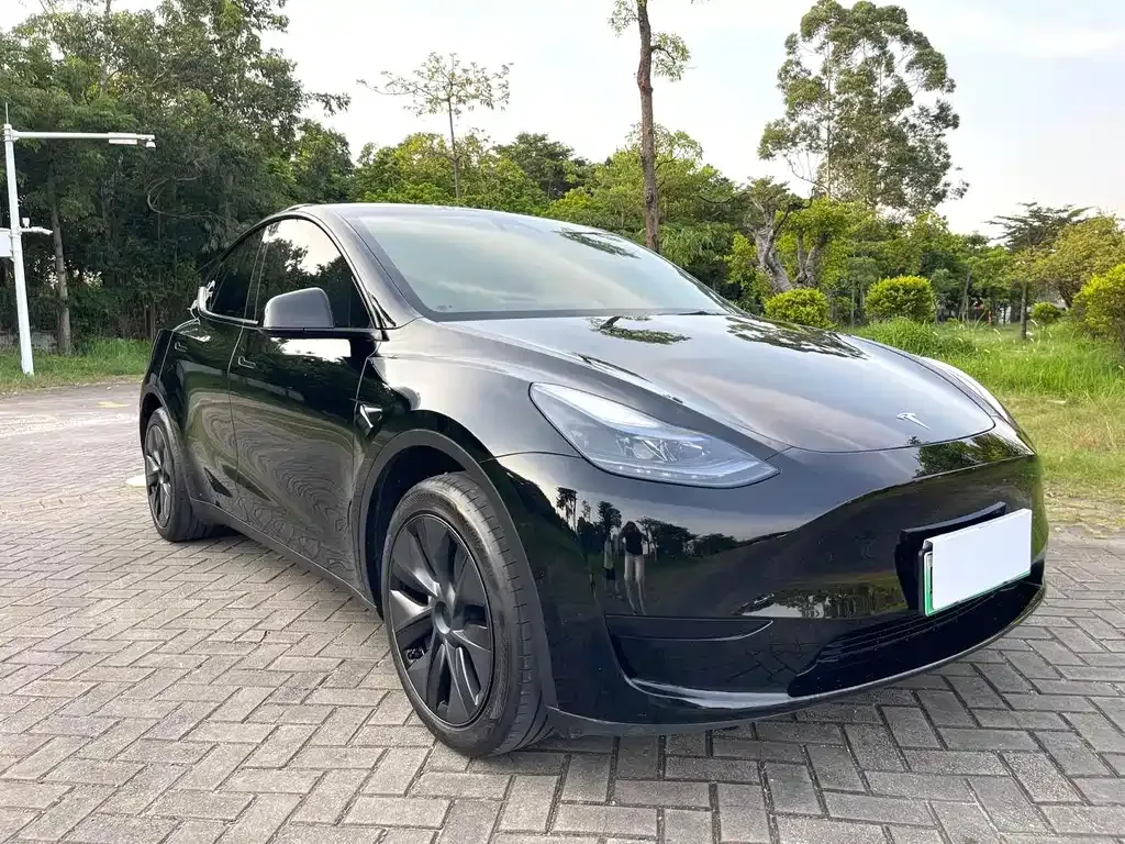 Tesla Model Y — фото 7