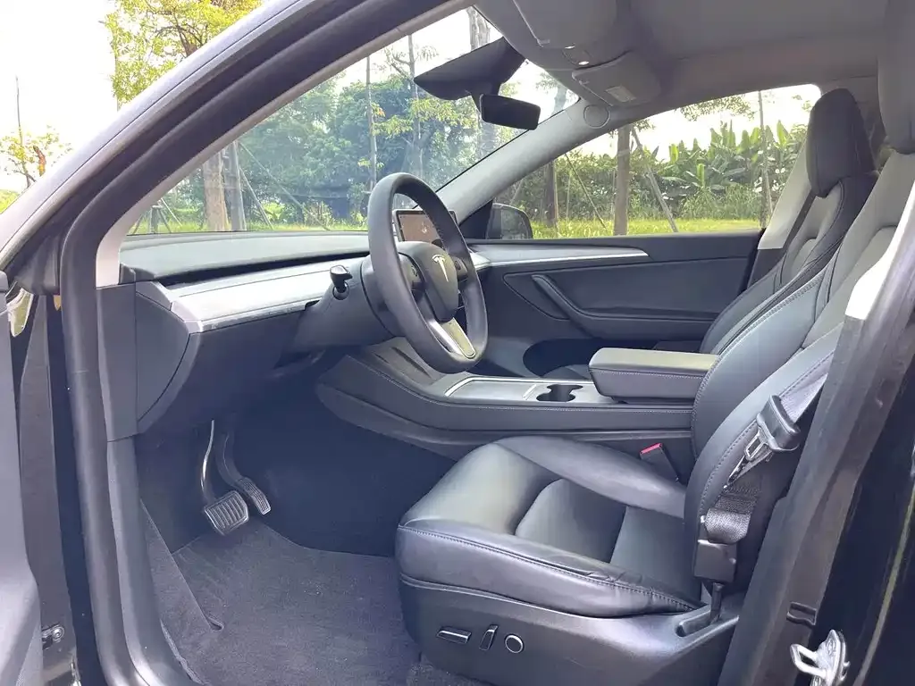 Tesla Model Y — фото 2