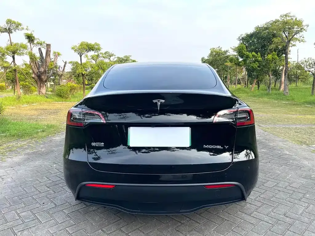 Tesla Model Y — фото 8