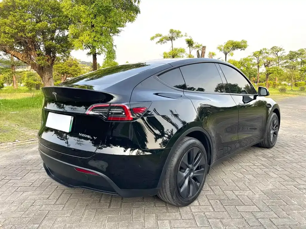 Tesla Model Y — фото 5