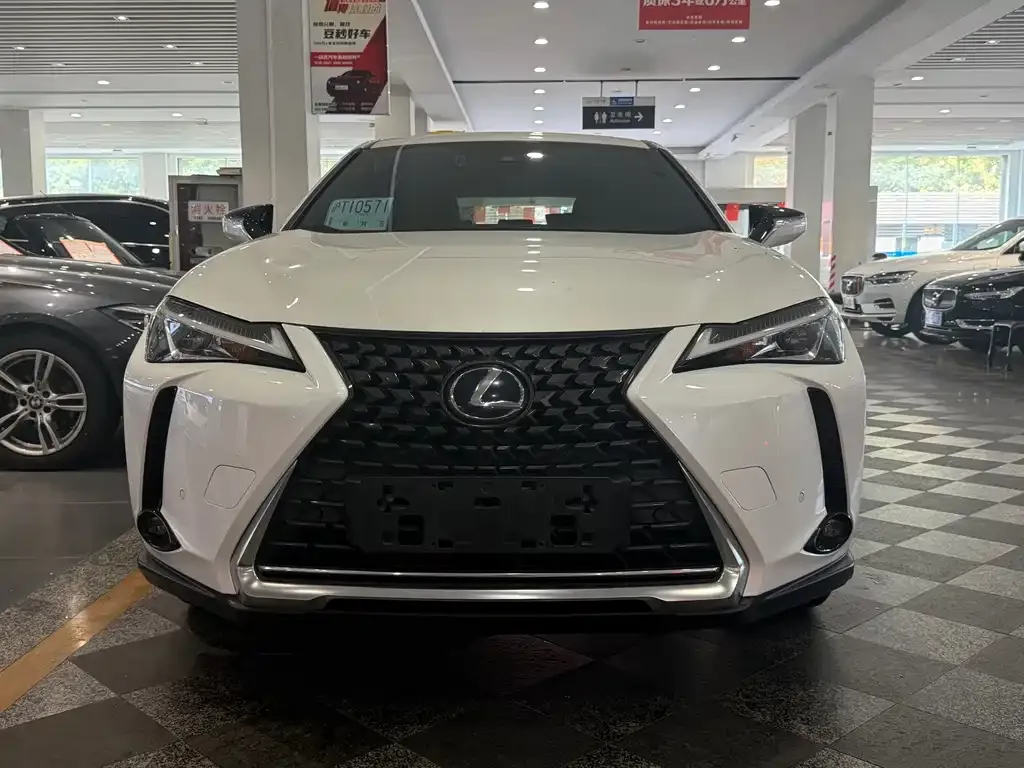 Lexus UX New Energy — фото 7