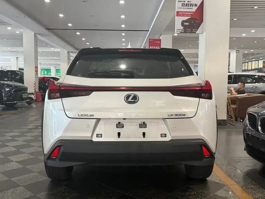 Lexus UX New Energy — фото 8