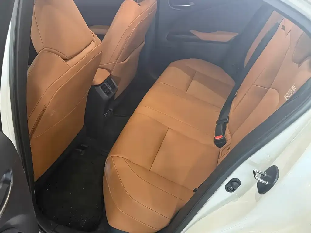 Lexus UX New Energy — фото 3