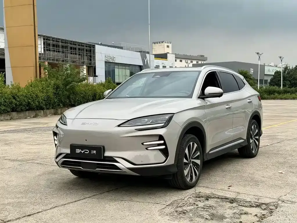 BYD PLUS New Energy — фото 1