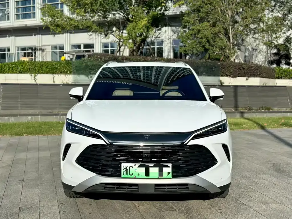 BYD L DM-i — фото 7