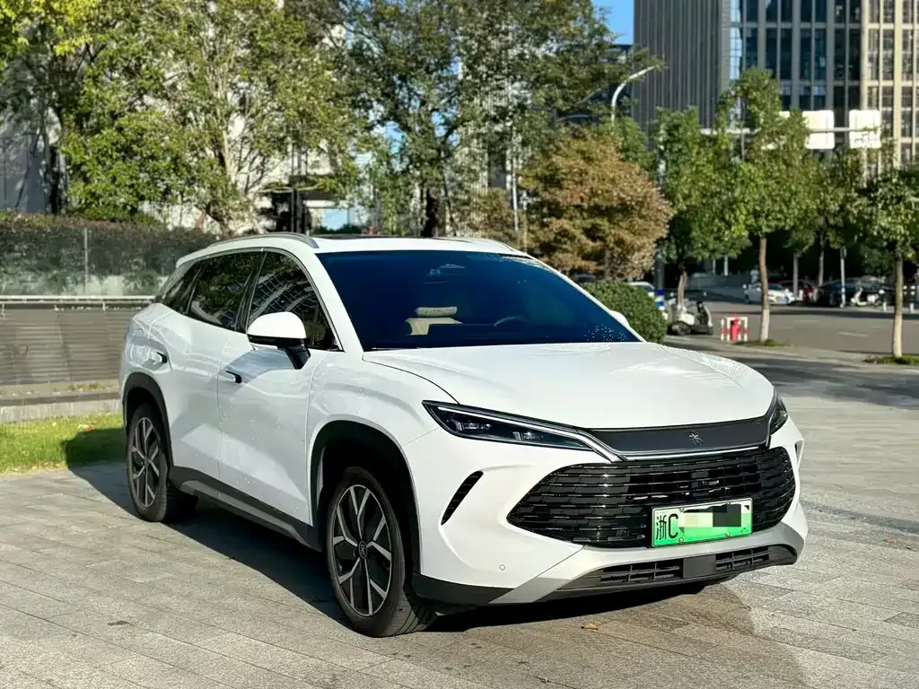 BYD L DM-i — фото 9