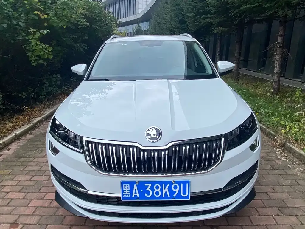 Skoda Karoq — фото 5