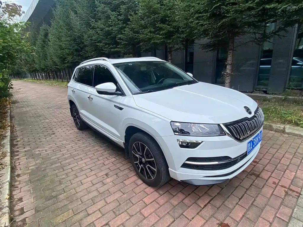 Skoda Karoq — фото 6