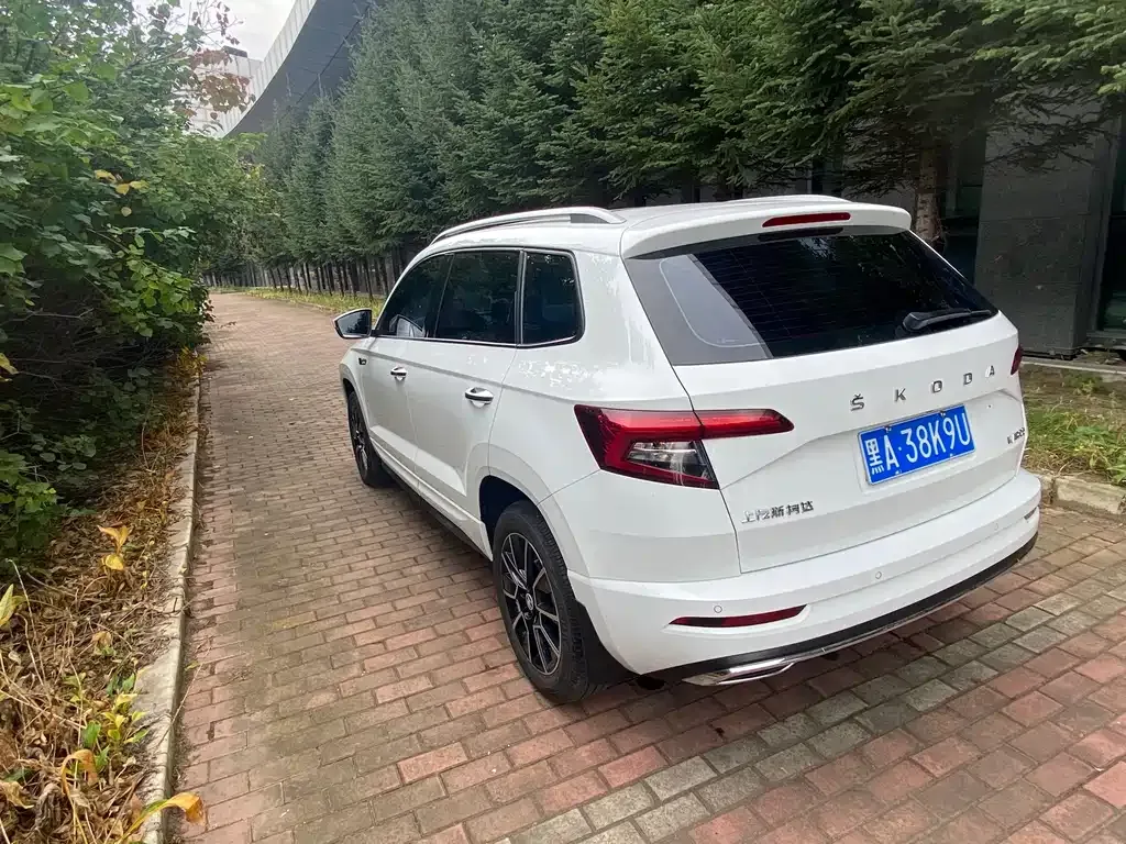 Skoda Karoq — фото 8