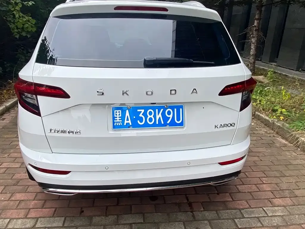 Skoda Karoq — фото 9
