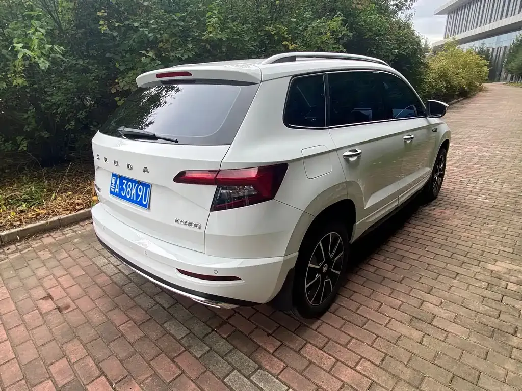 Skoda Karoq — фото 7