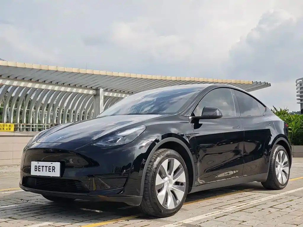 Tesla Model Y — фото 1