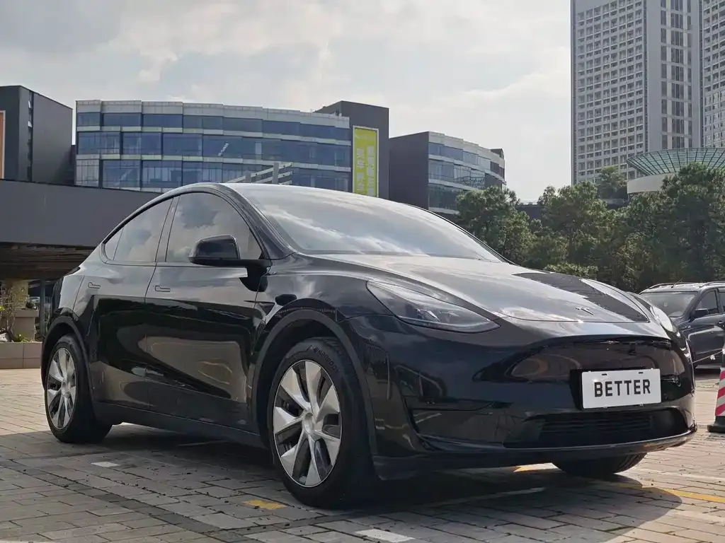 Tesla Model Y — фото 10