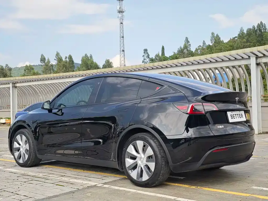 Tesla Model Y — фото 3