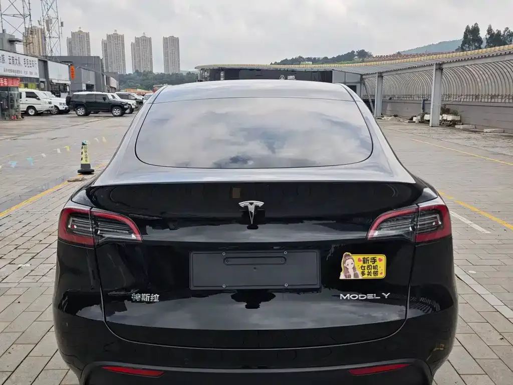 Tesla Model Y — фото 6