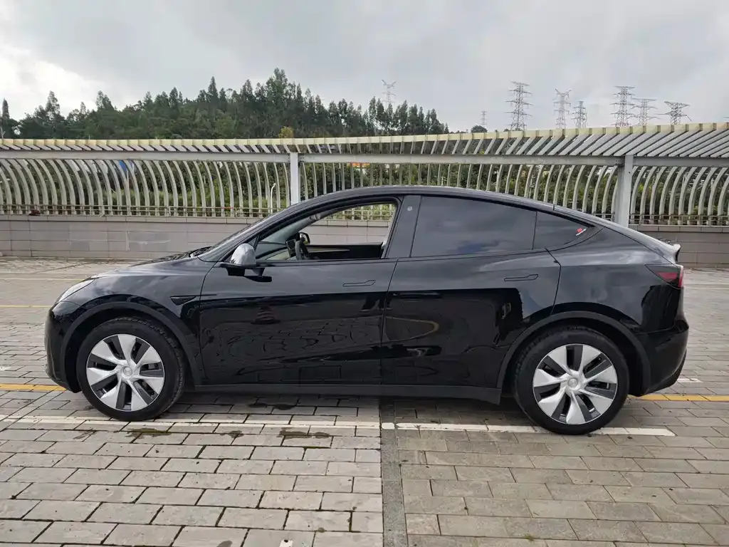 Tesla Model Y — фото 9
