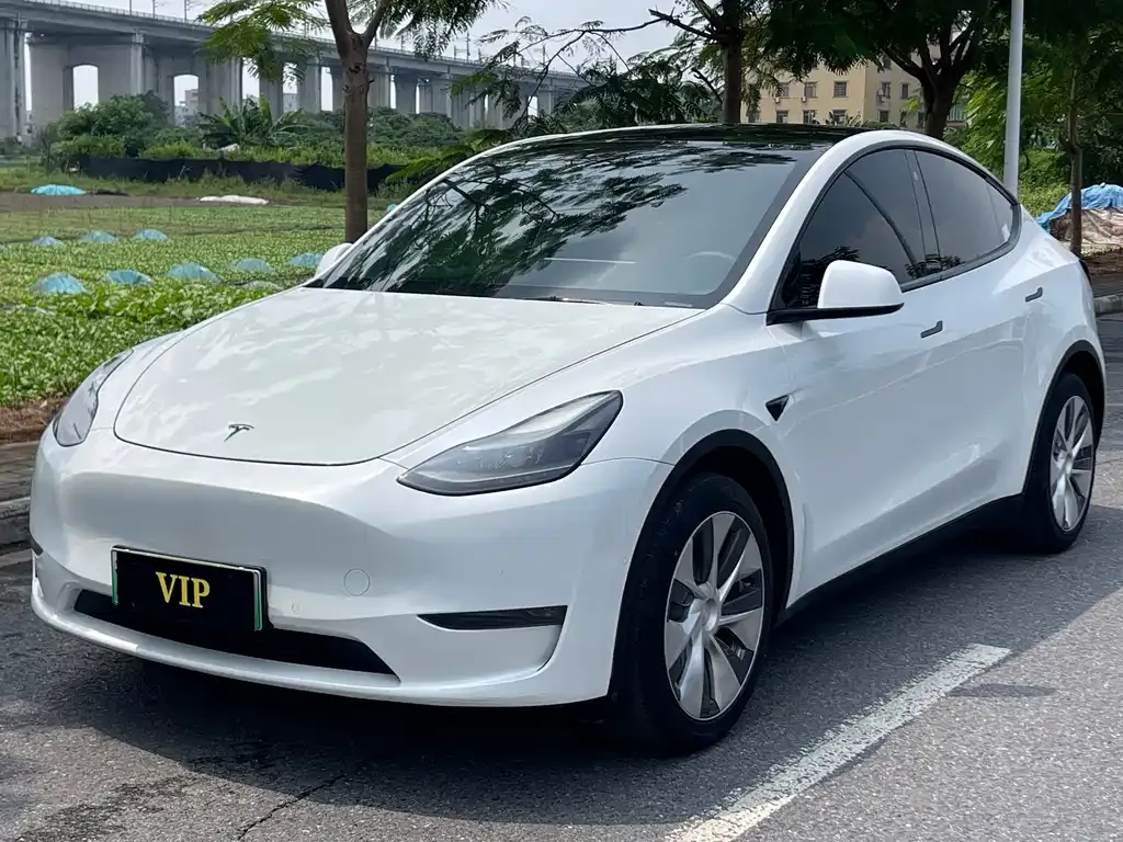 Tesla Model Y — фото 1
