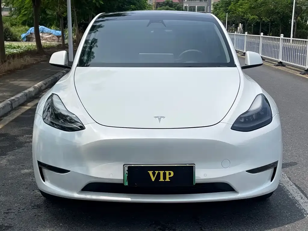 Tesla Model Y — фото 9