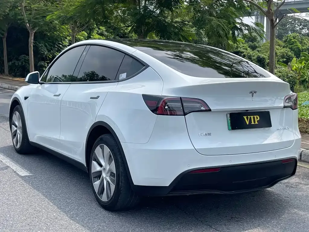 Tesla Model Y — фото 8