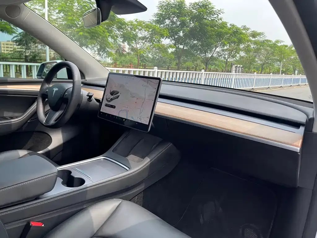 Tesla Model Y — фото 10