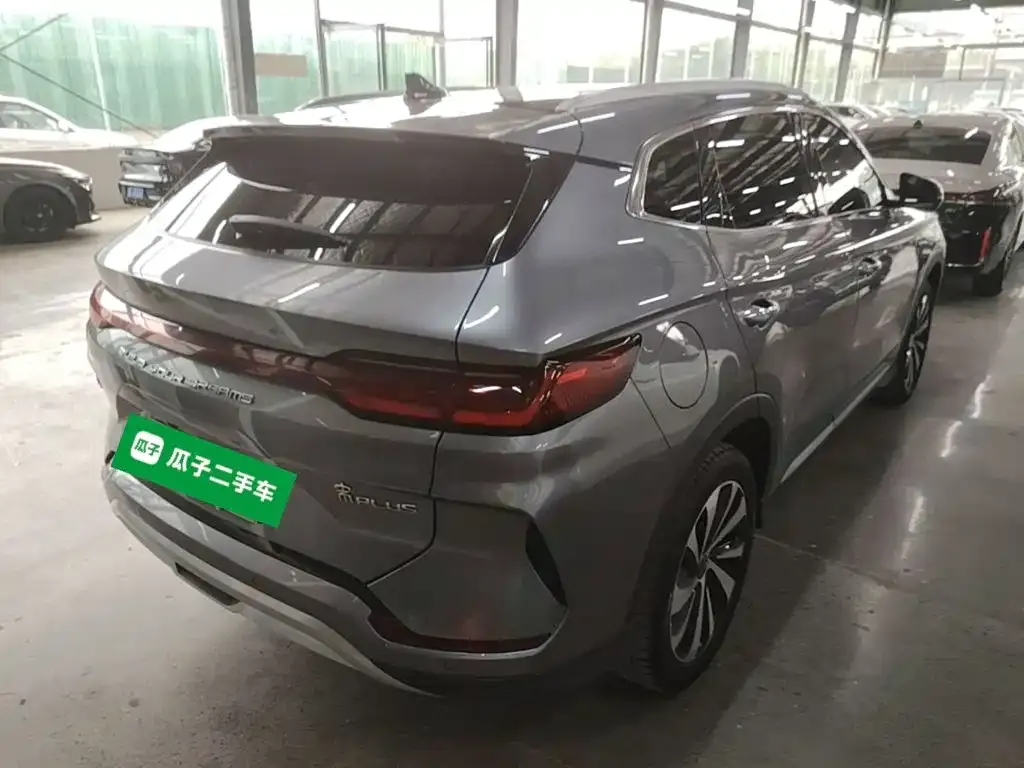 BYD PLUS New Energy — фото 7
