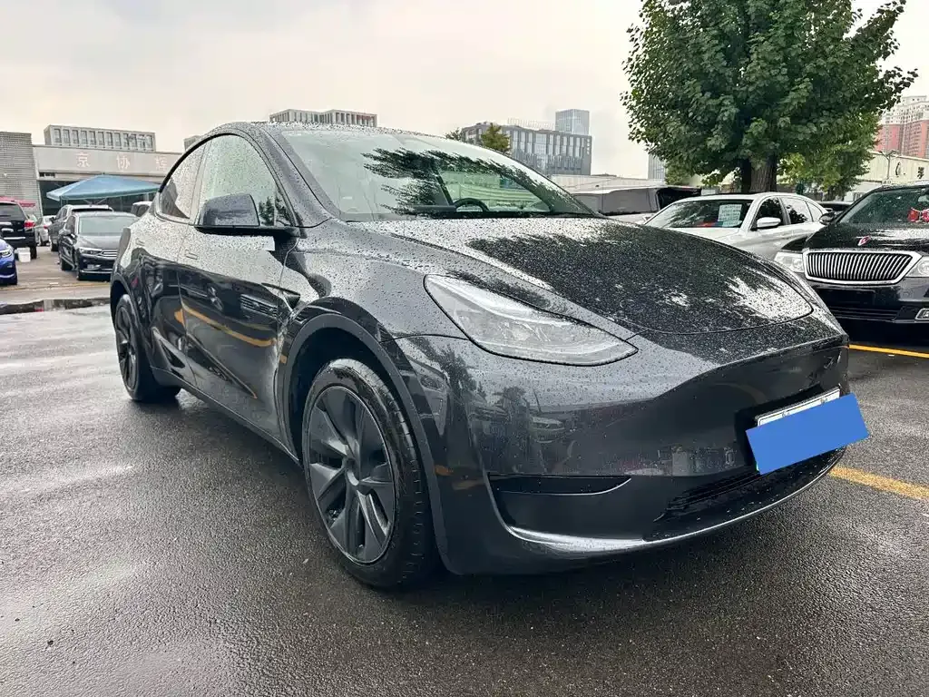 Tesla Model Y — фото 1