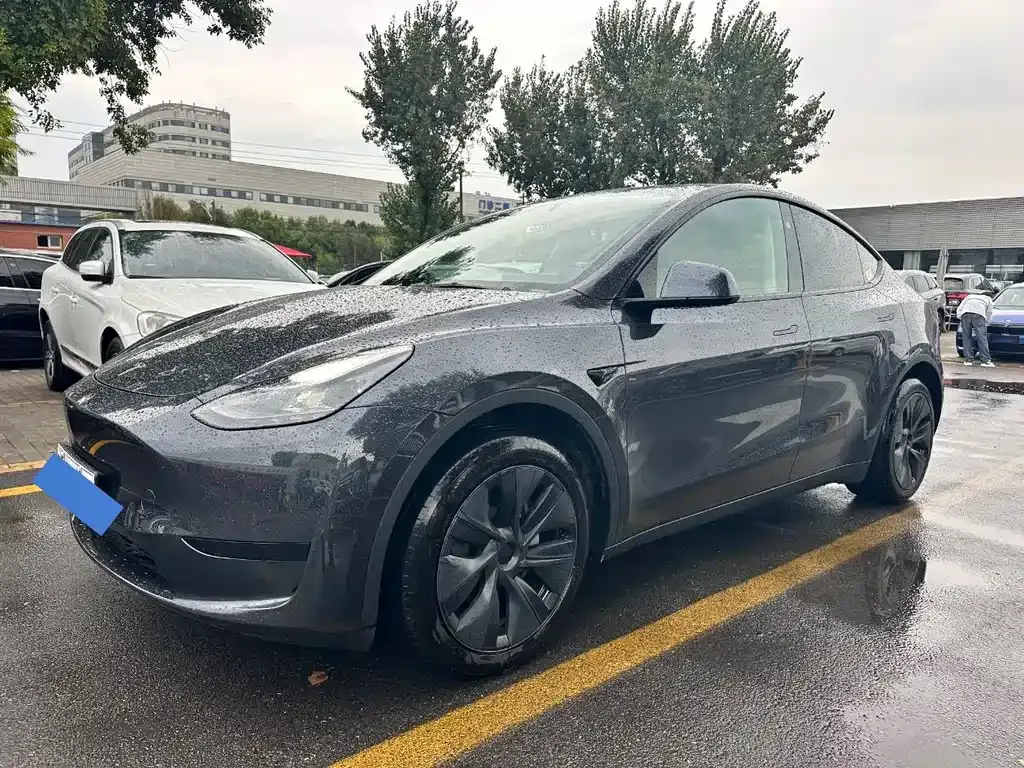 Tesla Model Y — фото 10