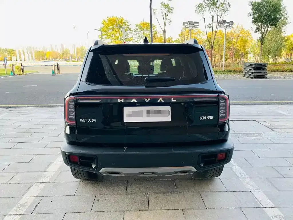 Haval Big Dog — фото 8