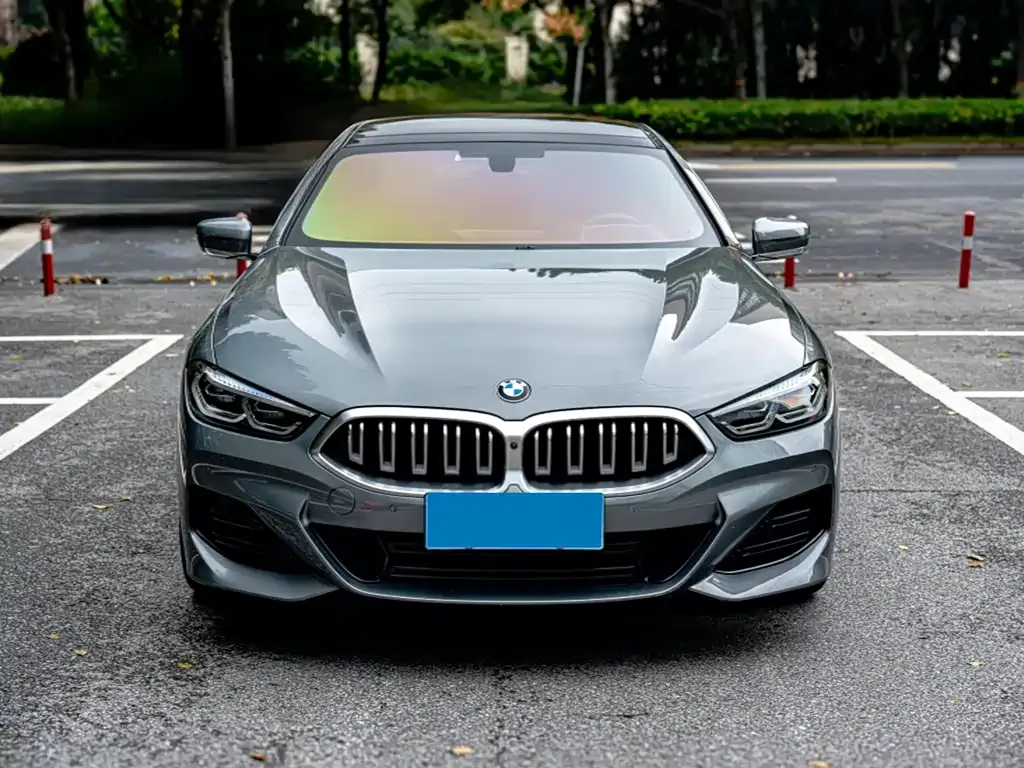 BMW 8 Series — фото 3