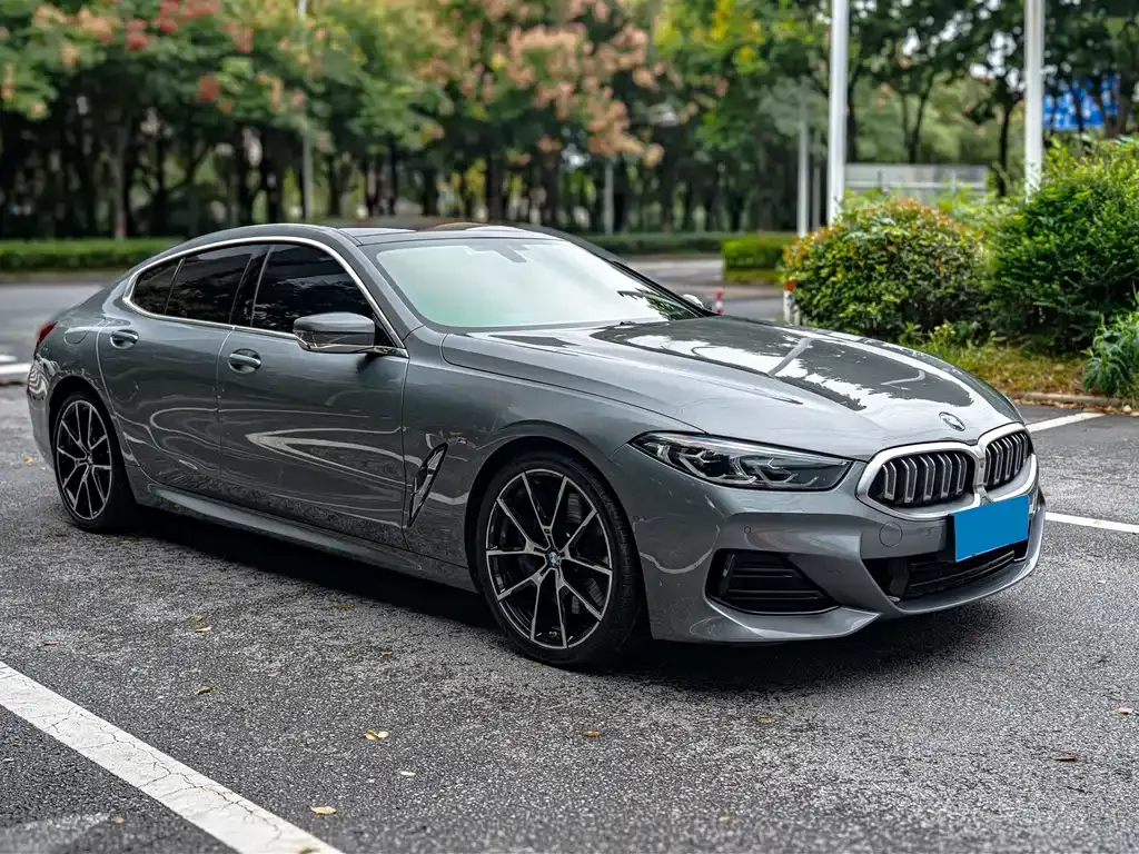 BMW 8 Series — фото 9