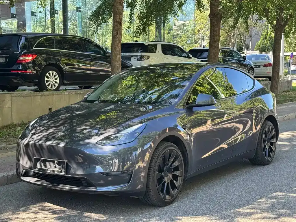Tesla Model Y — фото 1