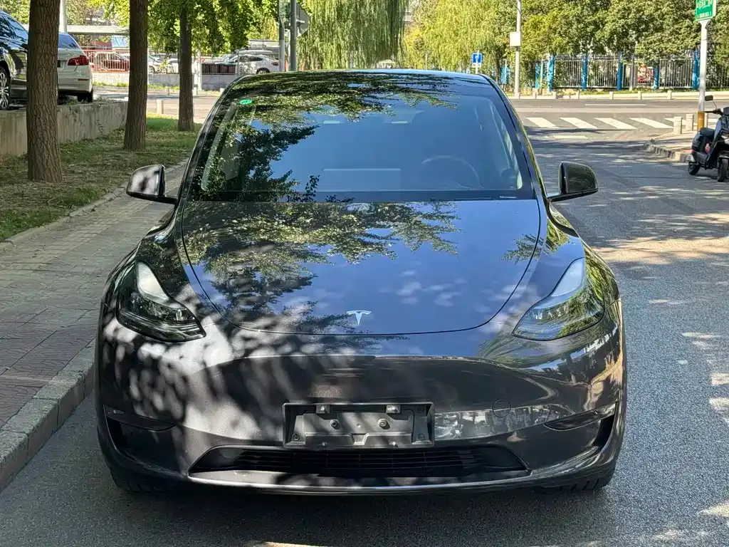 Tesla Model Y — фото 8