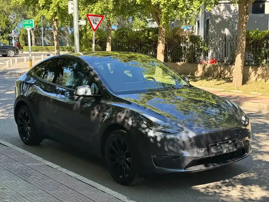 Tesla Model Y — фото 10