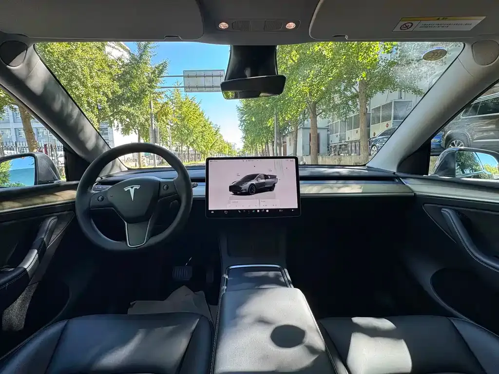 Tesla Model Y — фото 2