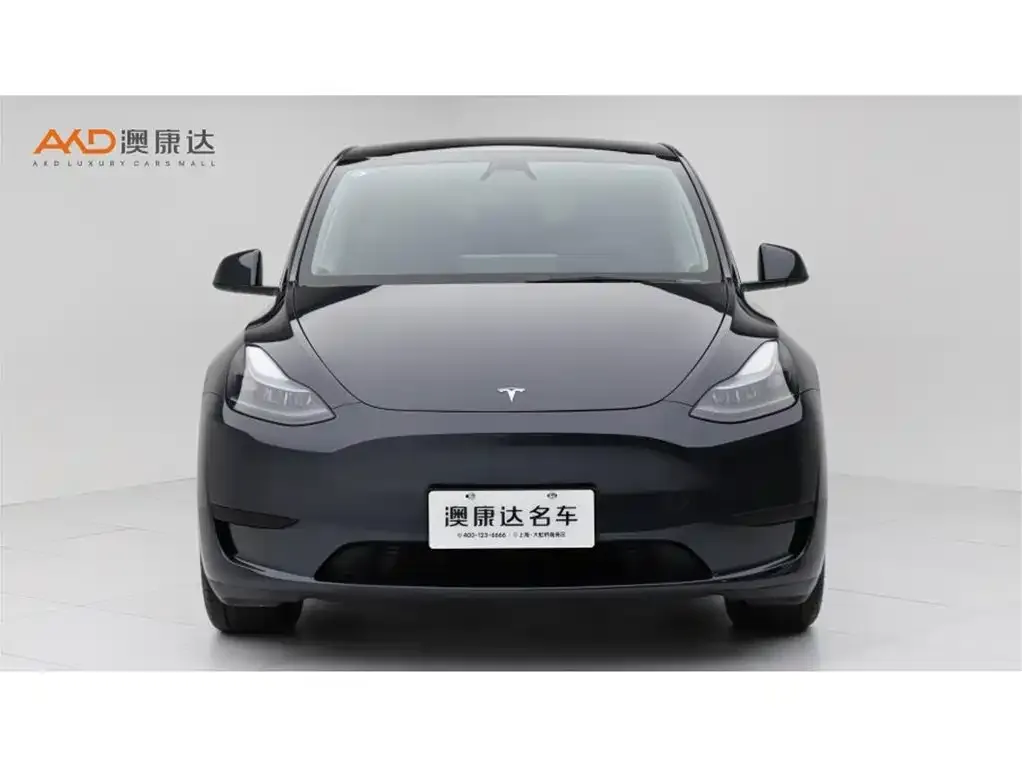 Tesla Model Y — фото 7