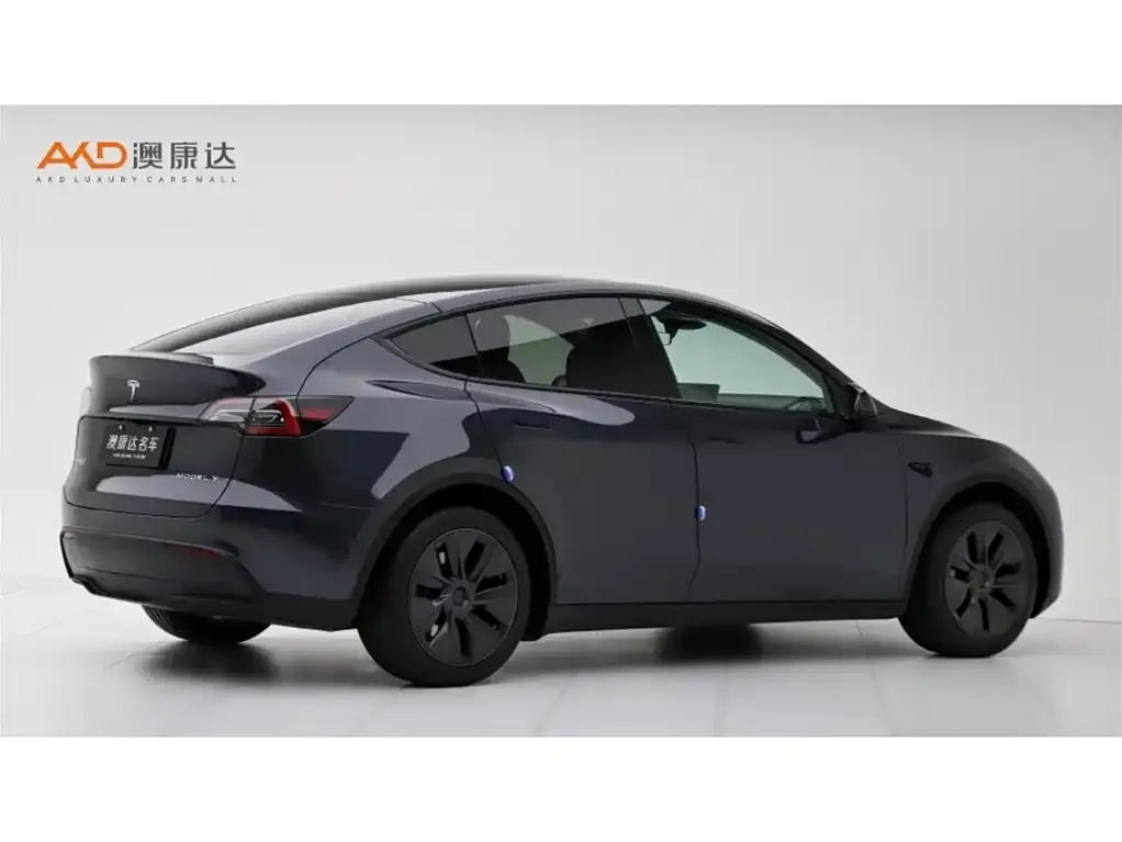 Tesla Model Y — фото 9