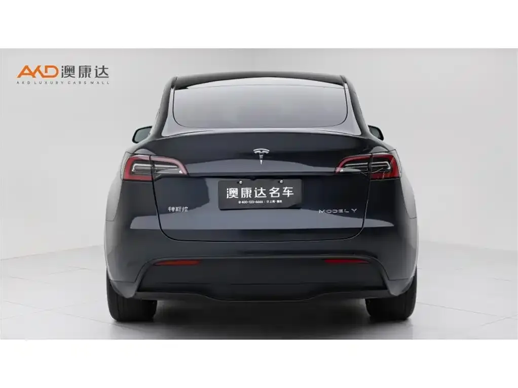 Tesla Model Y — фото 5