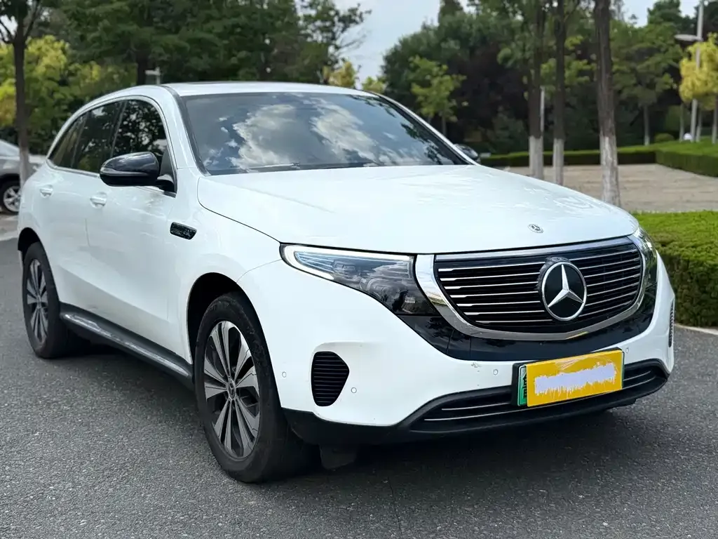 Mercedes-Benz EQC — фото 8