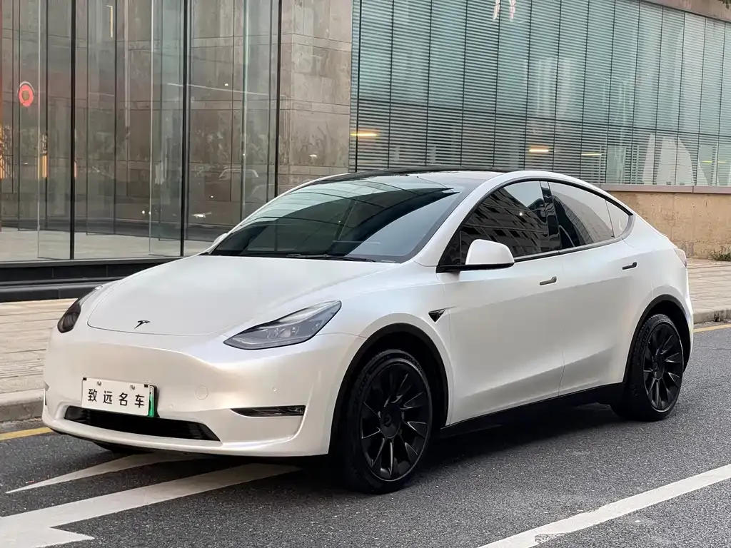 Tesla Model Y — фото 1