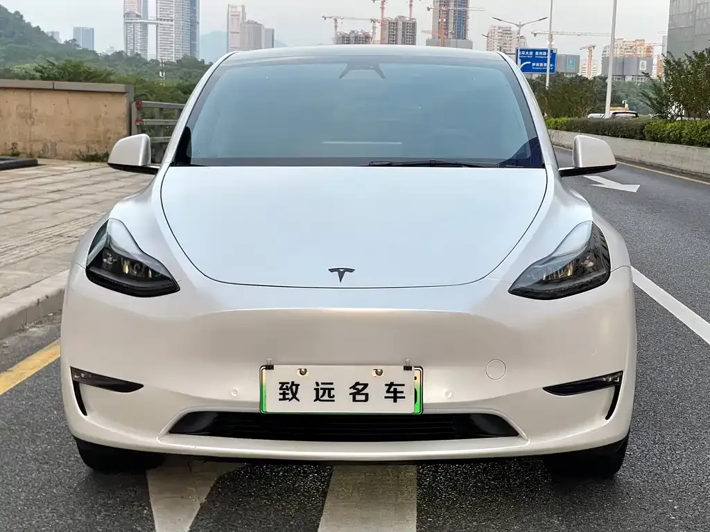 Tesla Model Y — фото 7