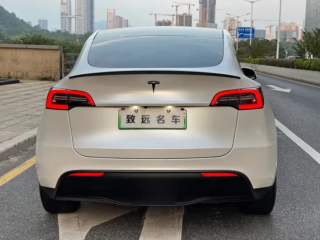 Tesla Model Y — фото 2