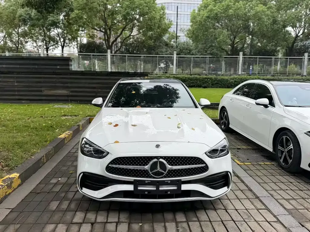 Mercedes-Benz C-Class New Energy — фото 9