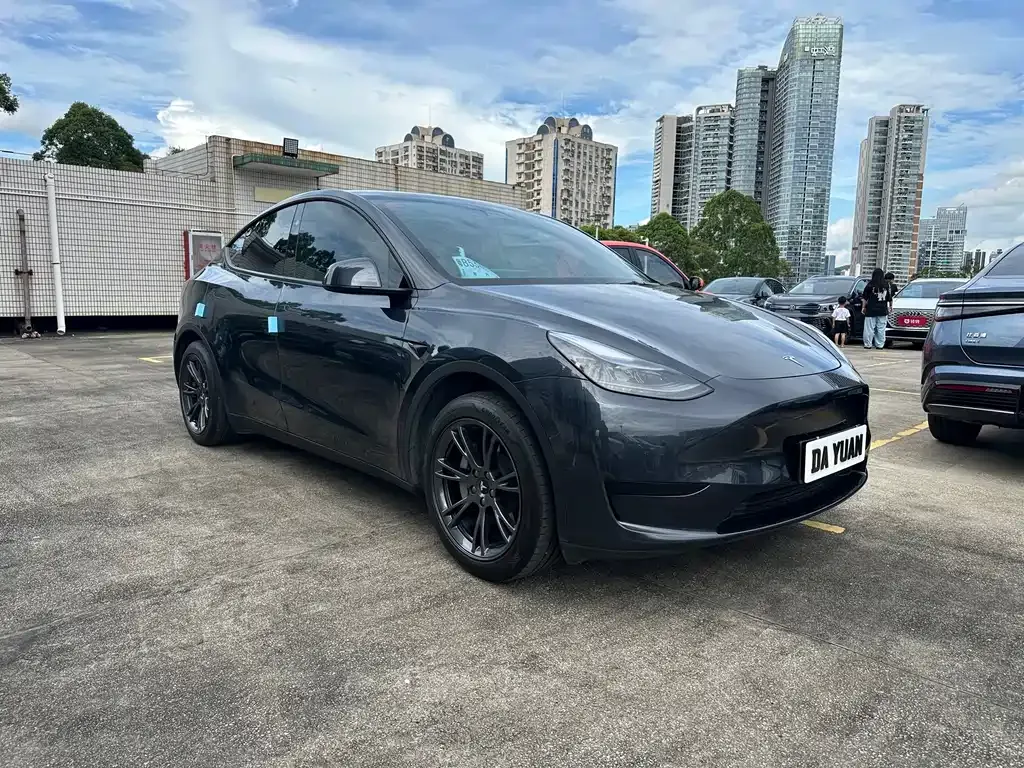 Tesla Model Y — фото 6