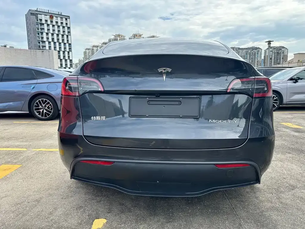 Tesla Model Y — фото 3