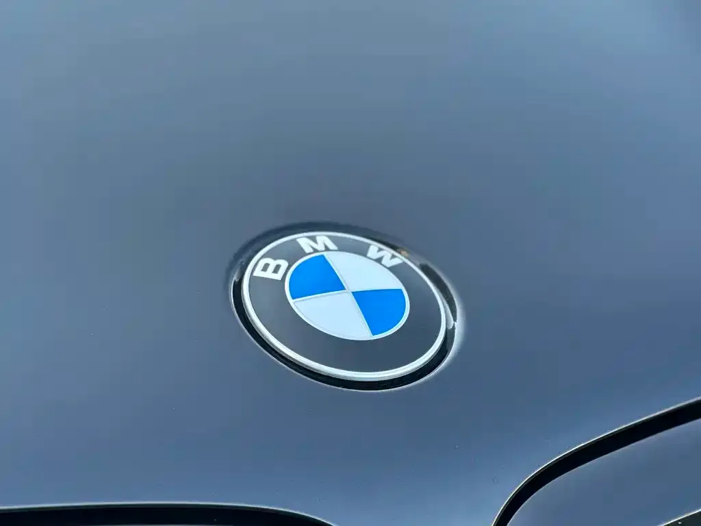 BMW X5 — фото 2