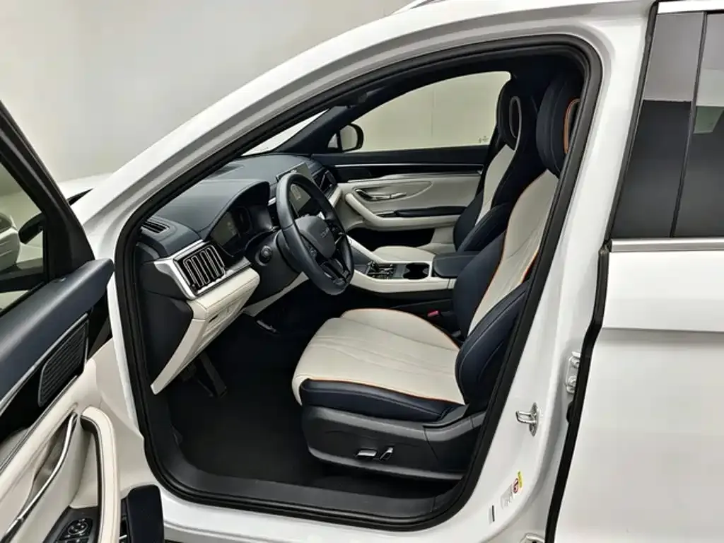 BYD PLUS New Energy — фото 8