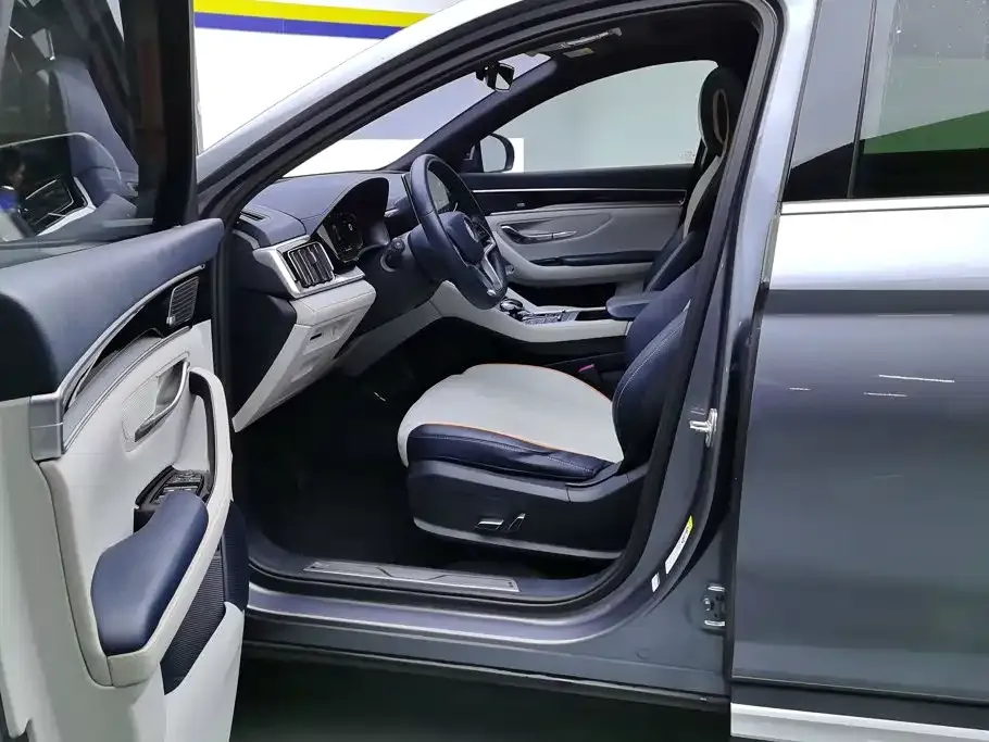 BYD PLUS New Energy — фото 10