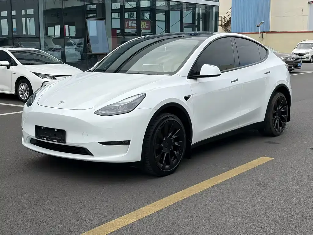Tesla Model Y — фото 1