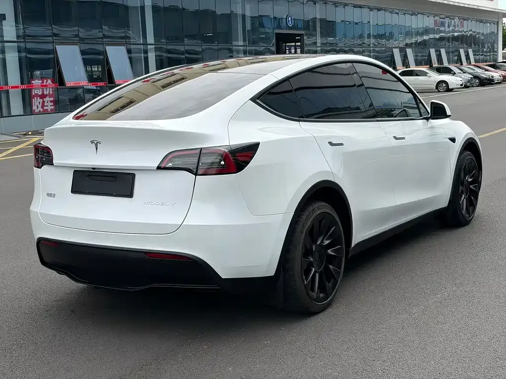 Tesla Model Y — фото 3