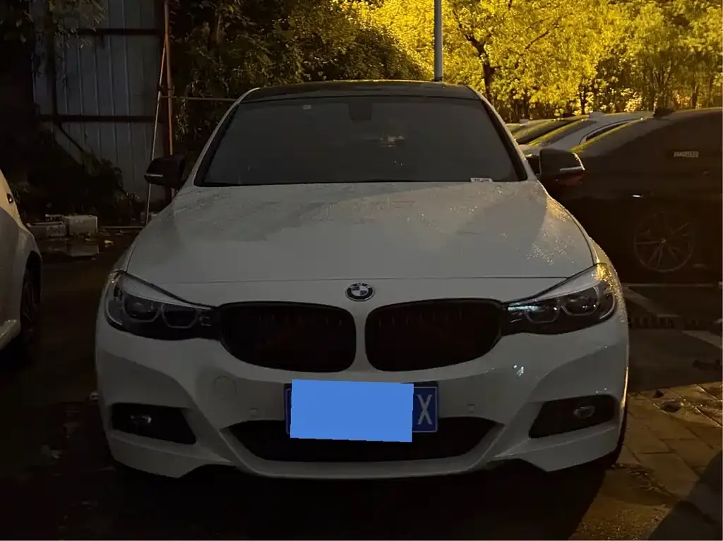BMW 3 Series GT — фото 7